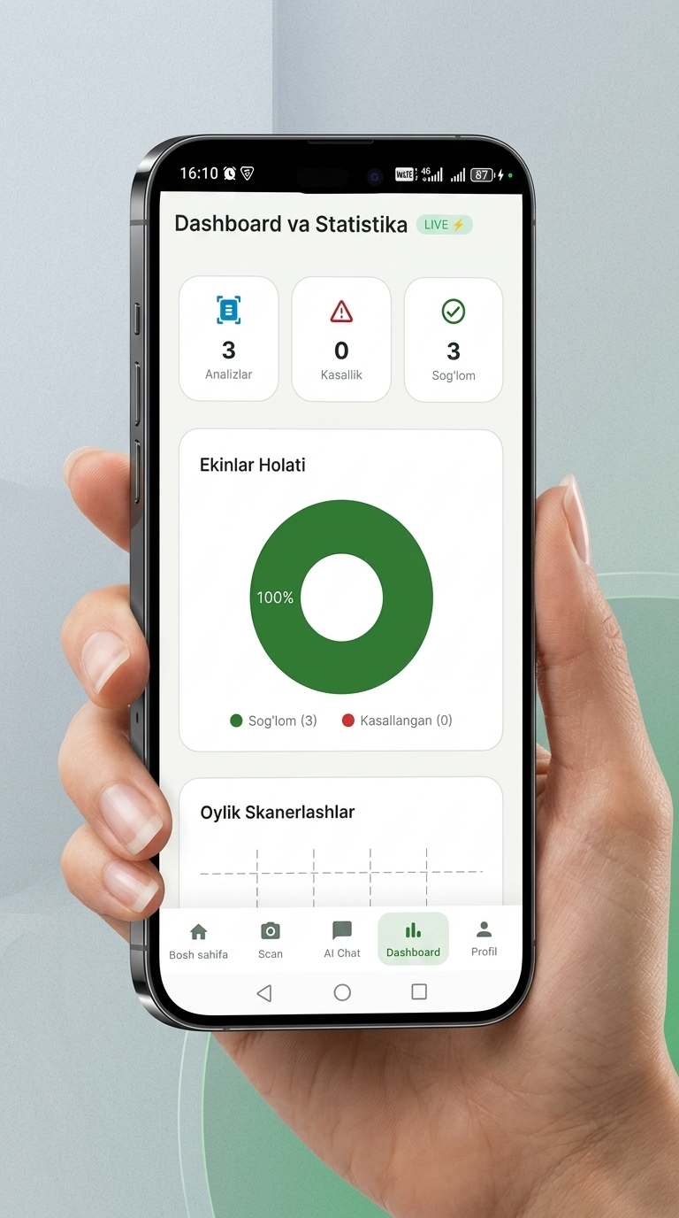Dashboard & Statistika