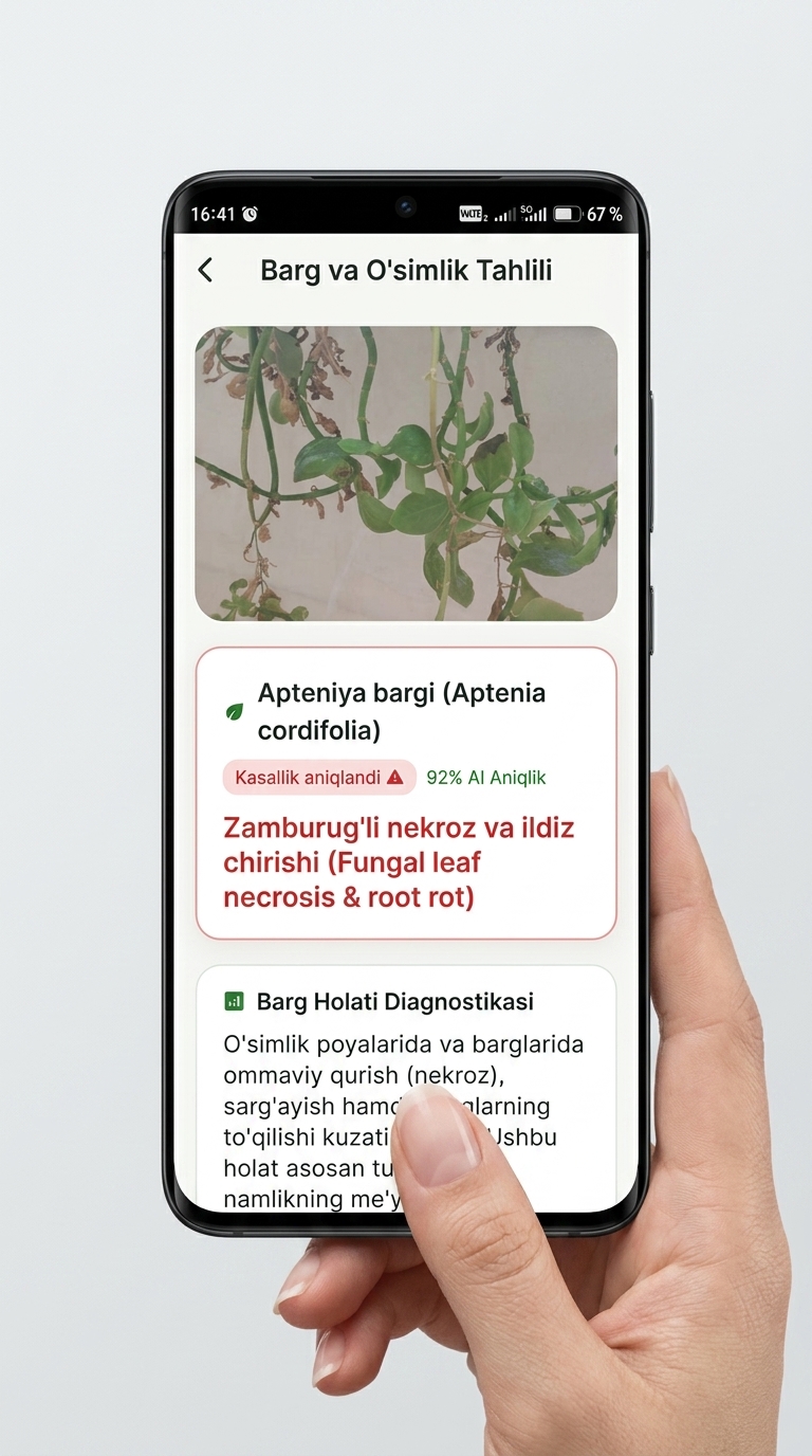 Barg Tahlili Diagnostikasi